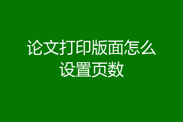论文打印版面怎么设置页数