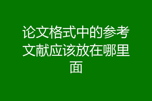 论文格式中的参考文献应该放在哪里面