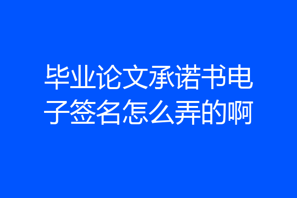 毕业论文承诺书电子签名怎么弄的啊