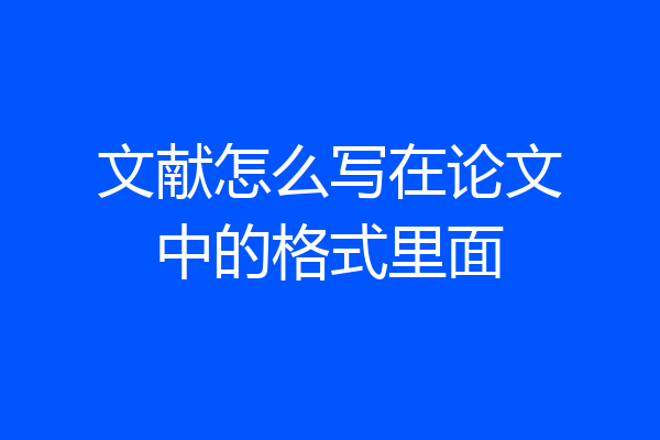 文献怎么写在论文中的格式里面