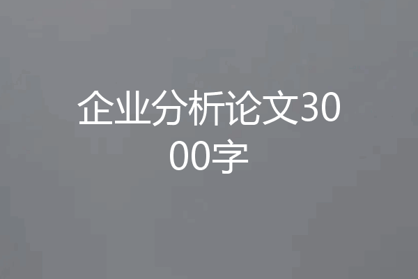 企业分析论文3000字