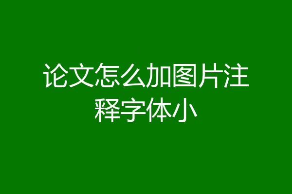 论文怎么加图片注释字体小