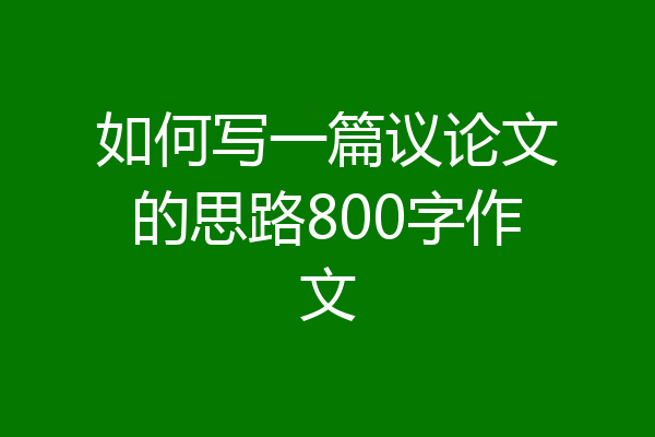 如何写一篇议论文的思路800字作文
