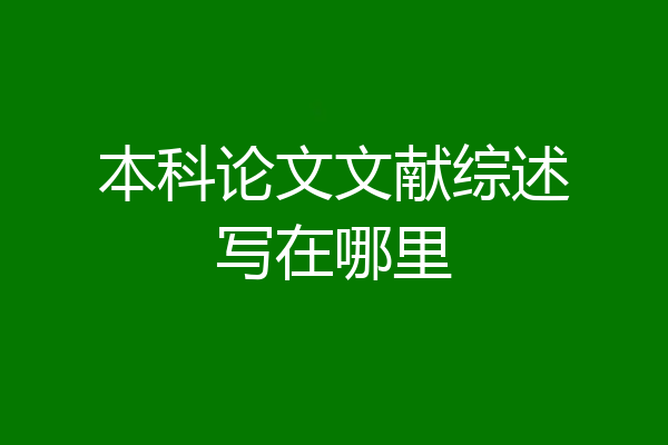 本科论文文献综述写在哪里