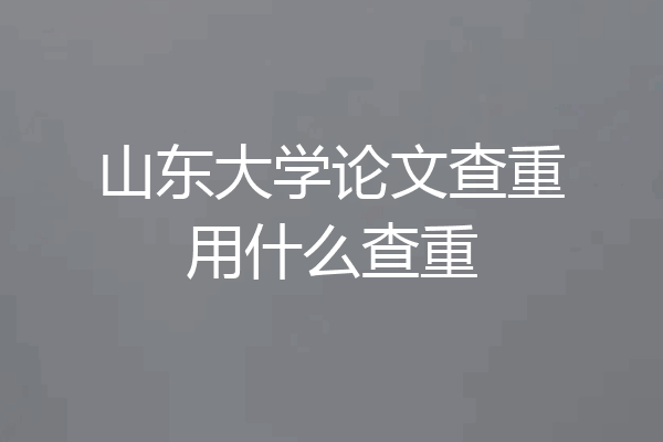 山东大学论文查重用什么查重