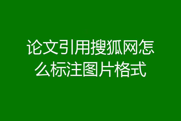 论文引用搜狐网怎么标注图片格式