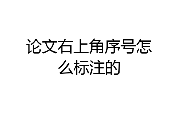 论文右上角序号怎么标注的