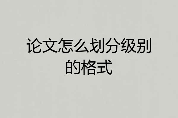 论文怎么划分级别的格式
