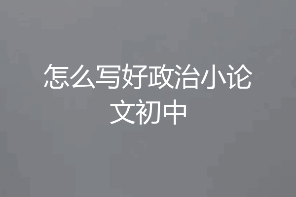 怎么写好政治小论文初中