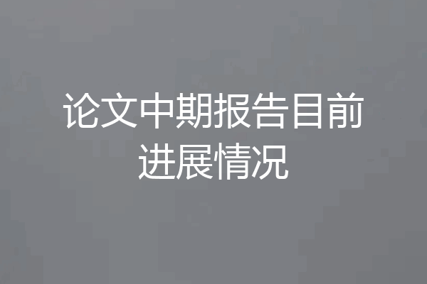 论文中期报告目前进展情况