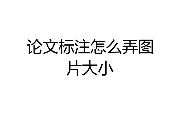 论文标注怎么弄图片大小