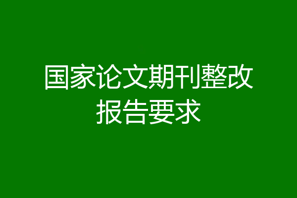国家论文期刊整改报告要求