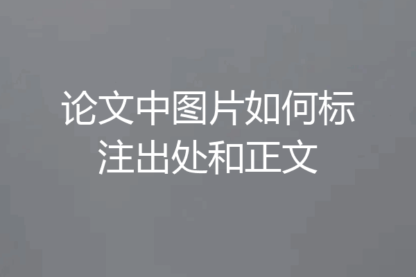 论文中图片如何标注出处和正文
