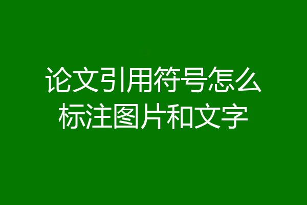 论文引用符号怎么标注图片和文字