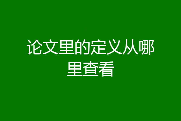 论文里的定义从哪里查看