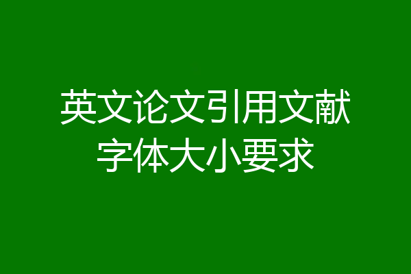 英文论文引用文献字体大小要求