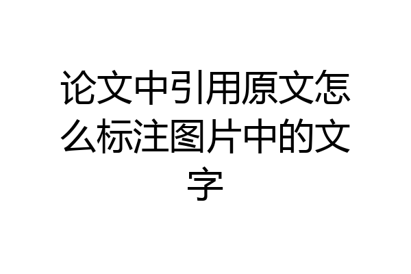 论文中引用原文怎么标注图片中的文字