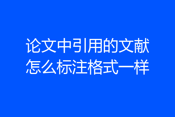 论文中引用的文献怎么标注格式一样