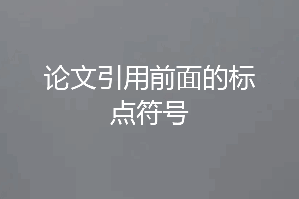 论文引用前面的标点符号