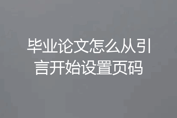 毕业论文怎么从引言开始设置页码