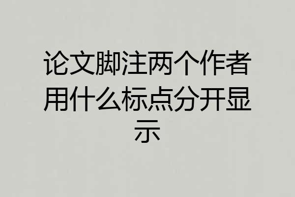 论文脚注两个作者用什么标点分开显示