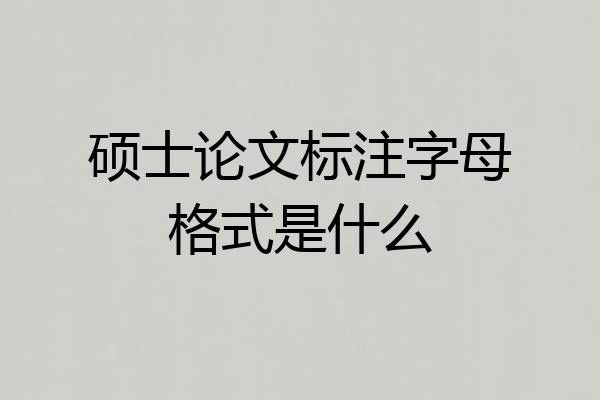 硕士论文标注字母格式是什么