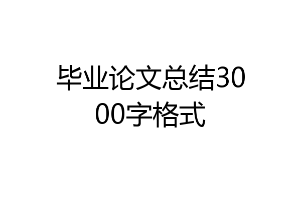毕业论文总结3000字格式