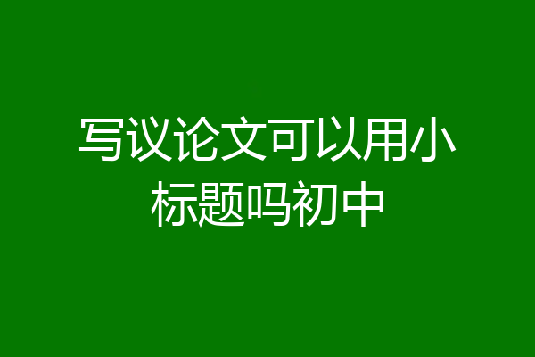 写议论文可以用小标题吗初中