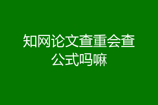 知网论文查重会查公式吗嘛