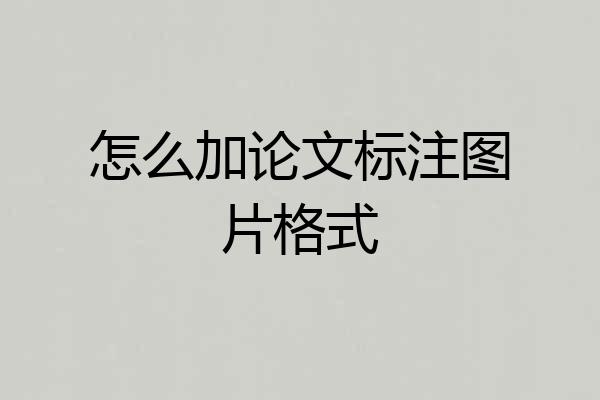 怎么加论文标注图片格式