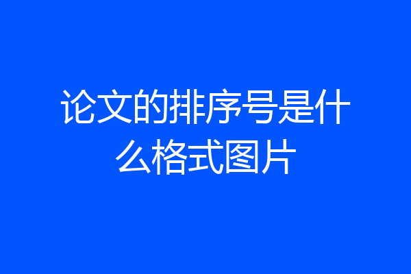 论文的排序号是什么格式图片