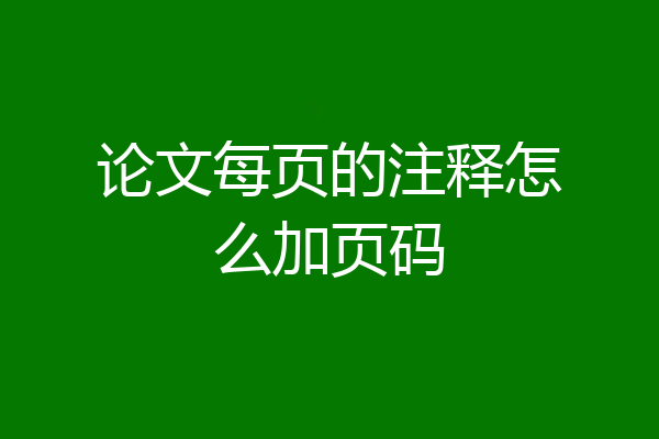 论文每页的注释怎么加页码