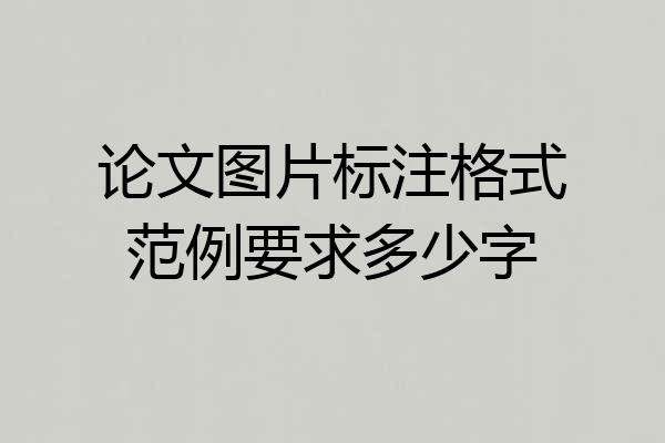 论文图片标注格式范例要求多少字
