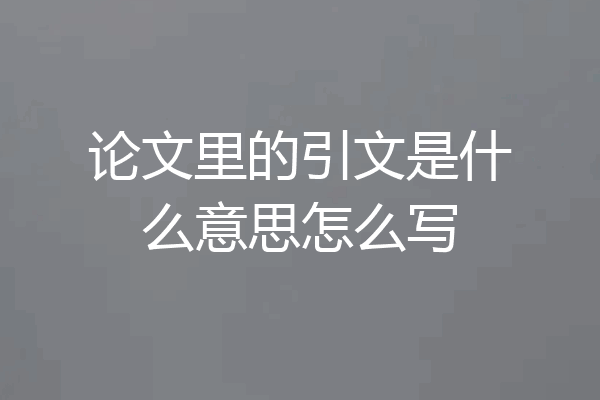 论文里的引文是什么意思怎么写