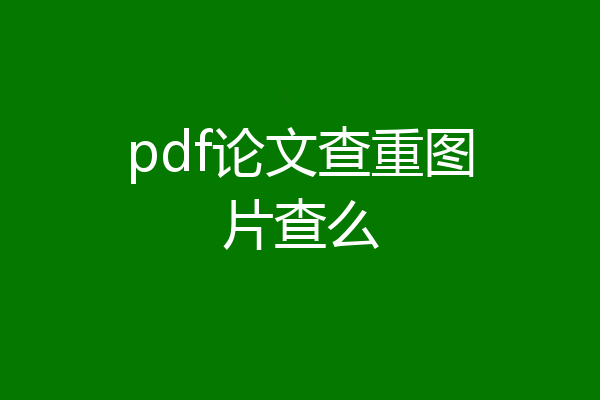 pdf论文查重图片查么