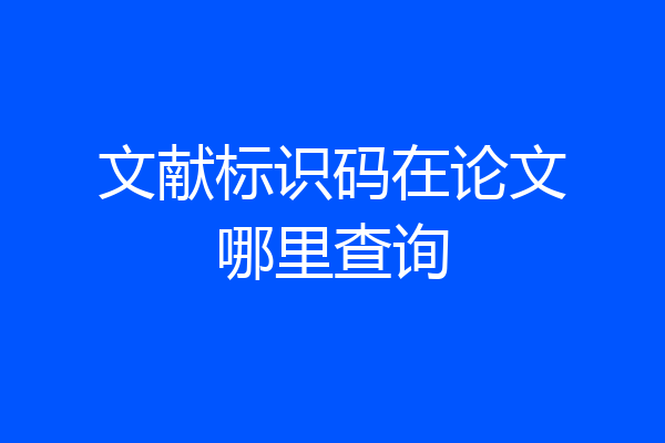 文献标识码在论文哪里查询