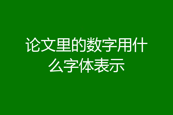 论文里的数字用什么字体表示