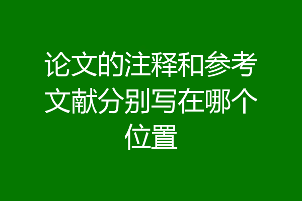 论文的注释和参考文献分别写在哪个位置