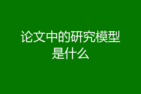 论文中的研究模型是什么