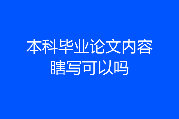 本科毕业论文内容瞎写可以吗