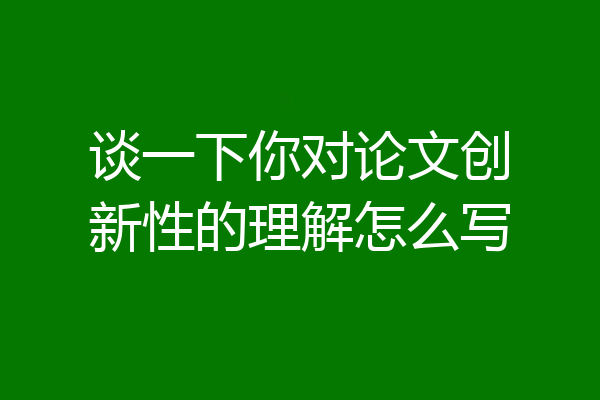 谈一下你对论文创新性的理解怎么写