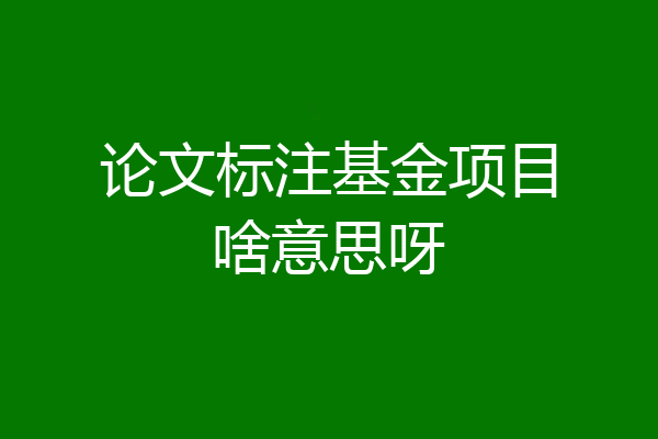 论文标注基金项目啥意思呀