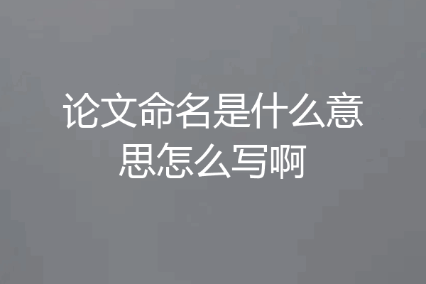 论文命名是什么意思怎么写啊