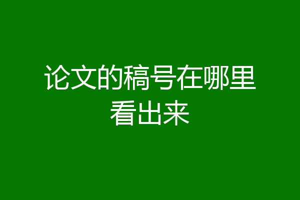 论文的稿号在哪里看出来