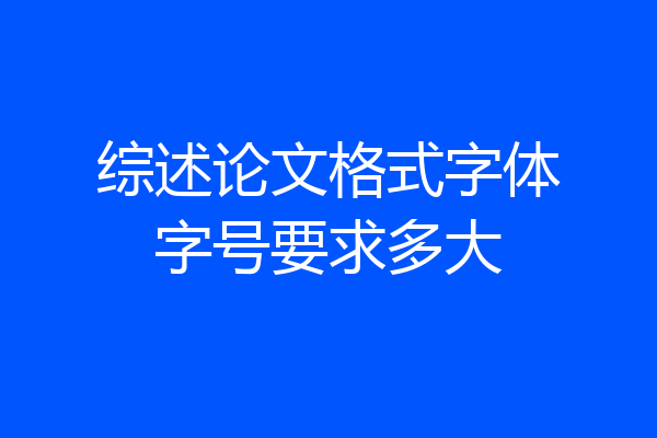 综述论文格式字体字号要求多大