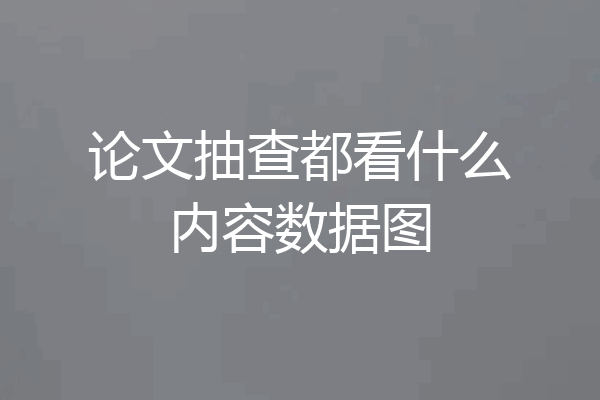 论文抽查都看什么内容数据图