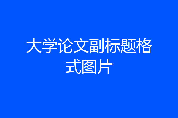 大学论文副标题格式图片