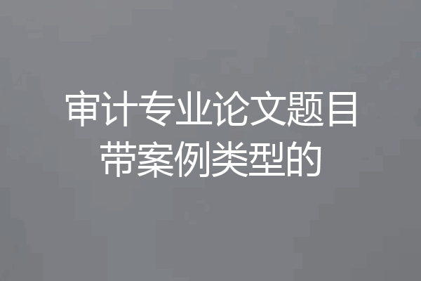 审计专业论文题目带案例类型的