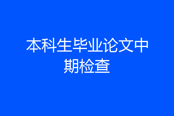 本科生毕业论文中期检查