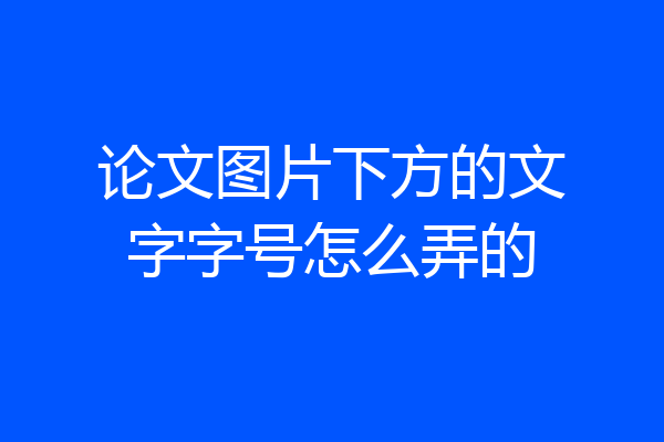 论文图片下方的文字字号怎么弄的